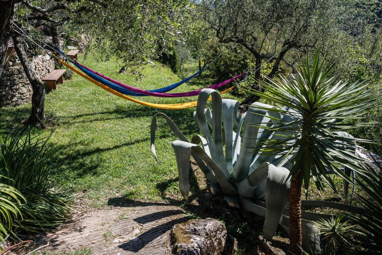 Bed and Breakfast La Fattoria Di Nonna Eugenia Леричі Екстер'єр фото