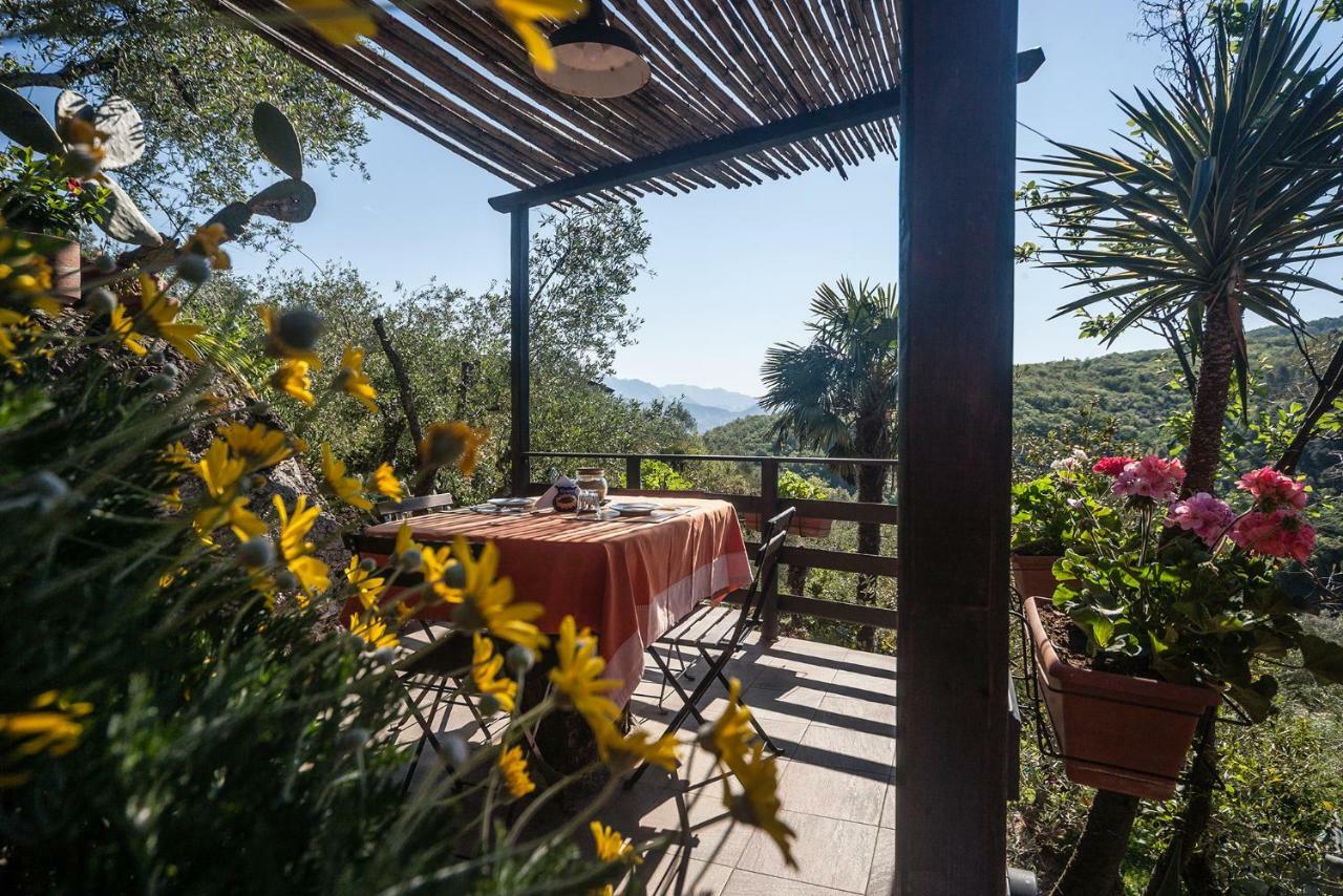 Bed and Breakfast La Fattoria Di Nonna Eugenia Леричі Екстер'єр фото